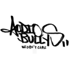 AUDIO BULLYS