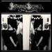 'Posthumous Success' album cover