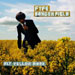 ALBUM review: Fyfe Dangerfield ~ Fly Yellow Moon